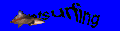surfing.gif (9841 bytes)